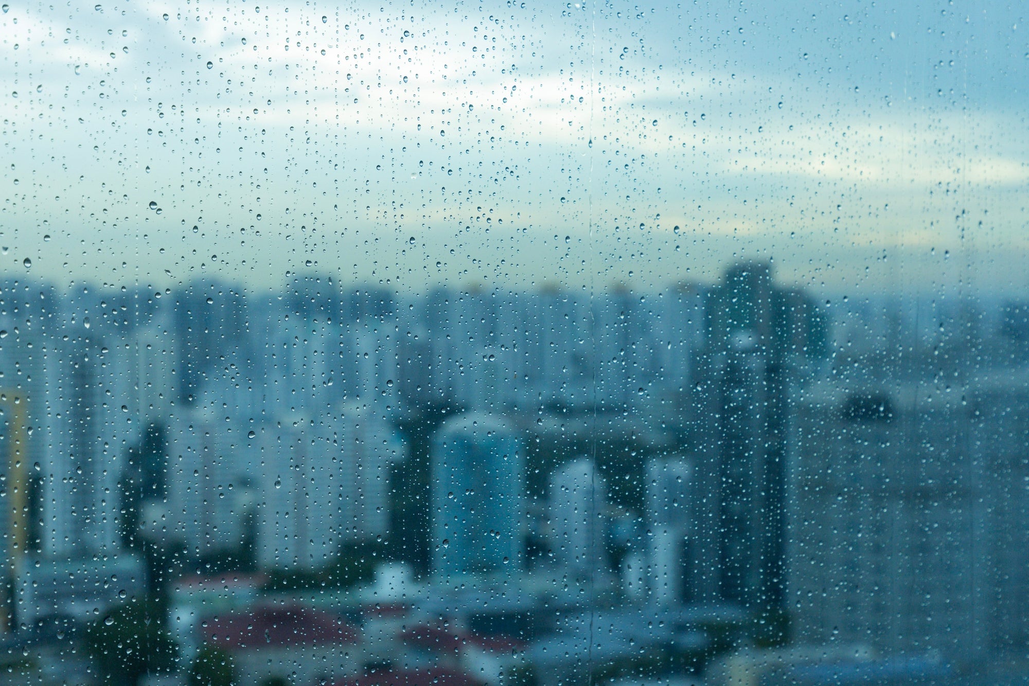 Scalpcare in Humid Climates: How to Build a Scalp-First Routine for Thicker Hair in Singapore